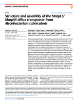 Structure and assembly of the MmpL5/MmpS5 efflux transporter from Mycobacterium tuberculosis