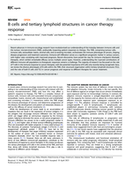 B cells and tertiary lymphoid structures in cancer therapy response