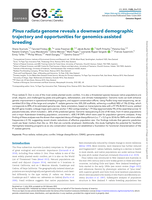 Pinus radiata genome reveals a downward demographic trajectory and opportunities for genomics-assisted breeding