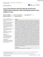 Loss of choroid plexus-derived insulin-like growth factor 2 (IGF2) leads to hyposmia, while retaining post-partum mood resilience in mice