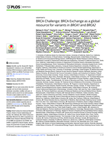 BRCA Challenge: BRCA Exchange as a global resource for variants in BRCA1 and BRCA2