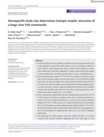Intraspecific body size determines isotopic trophic structure of a large river fish community
