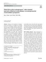 What drives micro-entrepreneurs’ value-oriented innovative behavior in microfinance: an entrepreneurial resourcefulness perspective
