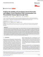 Probing the Stability of Convolution Neural Networks and Support Vector Machines With Transmission Low Wavenumber Raman Spectroscopic Data