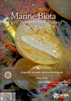 Kingdom Animalia, phylum Brachiopoda (lamp shells)