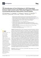 The Identification of Novel Mutations in ATP-Dependent Protease ClpC1 Assists in the Molecular Diagnosis of Obscured Pyrazinamide-Resistant Tuberculosis Clinical Isolates