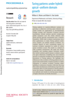 Turing patterns under hybrid apical-uniform domain growth