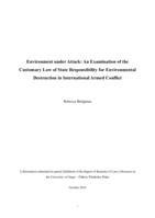Environment under Attack: An Examination of the Customary Law of State Responsibility for Environmental Destruction in International Armed Conflict