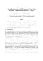 Weak Bruhat Interval Modules of Finite-Type 0-Hecke Algebras and Projective Covers