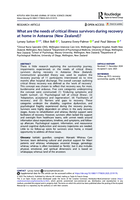 What are the needs of critical illness survivors during recovery at home in Aotearoa (New Zealand)?