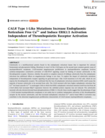 CALR Type 1‐Like Mutations Increase Endoplasmic Reticulum Free Ca 2+ and Induce ERK1/2 Activation Independent of Thrombopoietin Receptor Activation