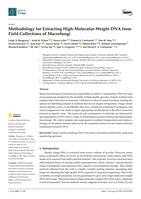 Methodology for Extracting High-Molecular-Weight DNA from Field Collections of Macrofungi