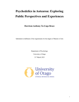 Psychedelics in Aotearoa: Exploring Public Perspectives and Experiences
