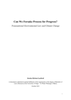 Can we forsake process for progress? Transnational environmental law and climate change