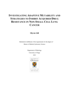 Investigating Adaptive Mutability and Strategies to Inhibit Acquired Drug Resistance in Non-Small Cell Lung Cancer
