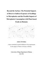 Beyond the Surface: The Potential Impacts of Direct or Indirect Exposure of Seedlings to Microplastics and the Possible Impacts of Microplastic Consumption with Plant-based Foods on Humans