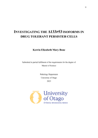 Investigating the Δ133p53 isoforms in drug tolerant persister cells