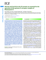 Met246 and Asn250 in the D2 Protein are Essential for the Operation of the Quinone-Fe-Acceptor Complex of Photosystem II