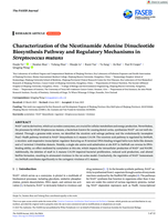 Characterization of the Nicotinamide Adenine Dinucleotide Biosynthesis Pathway and Regulatory Mechanisms in Streptococcus mutans