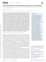 ATP synthesis driven by atmospheric hydrogen concentrations