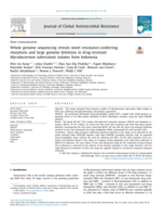 Whole genome sequencing reveals novel resistance-conferring mutations and large genome deletions in drug-resistant Mycobacterium tuberculosis isolates from Indonesia
