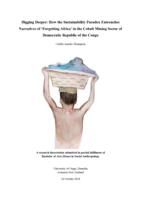 Digging Deeper: How the Sustainability Paradox Entrenches Narratives of 'Forgetting Africa' in the Cobalt Mining Sector of Democratic Republic of the Congo