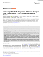 'Removing a Blindfold': Perspectives of Physical Therapists After Completing the PEAK-Portuguese E-Learning Course