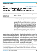 Antarctic phytoplankton communities restructure under shifting sea-ice regimes