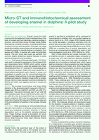 Micro-CT and immunohistochemical assessment of developing enamel in dolphins: A pilot study