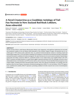 A Novel Crustavirus as a Candidate Aetiology of Tail Fan Necrosis in New Zealand Red Rock Lobsters, Jasus edwardsii