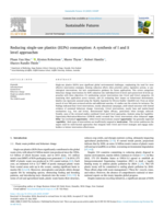 Reducing single-use plastics (SUPs) consumption: A synthesis of I and S level approaches