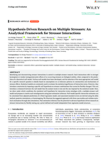 Hypothesis‐Driven Research on Multiple Stressors: An Analytical Framework for Stressor Interactions