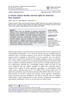 Is marine carbon dioxide removal right for Aotearoa New Zealand?