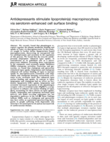 Antidepressants stimulate lipoprotein(a) macropinocytosis via serotonin-enhanced cell surface binding