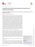 Cryo-EM structure of the Seneca Valley virus A-particle and related structural states