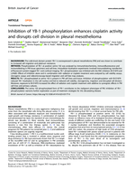 Inhibition of YB-1 phosphorylation enhances cisplatin activity and disrupts cell division in pleural mesothelioma