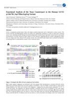 Functional Analysis of the Yeast Counterpart to the Human GCN2 p.Glu738_Asp739insArgArg Variant