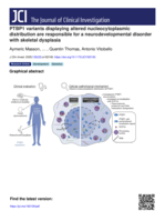 PTBP1 variants displaying altered nucleocytoplasmic distribution are responsible for a neurodevelopmental disorder with skeletal dysplasia