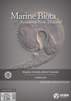 Kingdom Animalia, phylum Nematoda (roundworms)