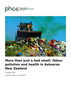 More than just a bad smell: Odour pollution and health in Aotearoa New Zealand