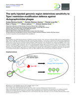 The early injected genomic region determines sensitivity to Type I restriction-modification defence against Autographiviridae phages