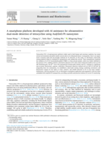 A smartphone platform developed with AI assistance for ultrasensitive dual-mode detection of tetracycline using Au@ZnO/Pt nanozymes