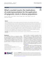 What's counted counts: the implications of underrepresentation for the application of epigenetic clocks in diverse populations