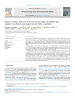 Impacts of marine heatwave stress and harmful algal (Alexandrium spp.) exposure on subadult green-lipped mussels (Perna canaliculus)
