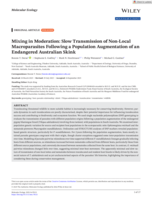 Mixing in Moderation: Slow Transmission of Non-Local Macroparasites Following a Population Augmentation of an Endangered Australian Skink