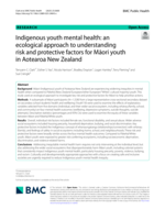 Indigenous youth mental health: an ecological approach to understanding risk and protective factors for Māori youth in Aotearoa New Zealand