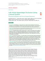 Left Atrial Appendage Occlusion Using a Novel System: Preclinical Evaluation and First-in-Human Experience