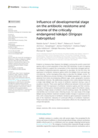 Influence of developmental stage on the antibiotic resistome and virome of the critically endangered kākāpō (Strigops habroptilus)