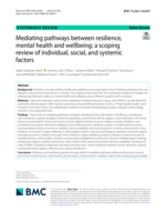 Mediating pathways between resilience, mental health and wellbeing: a scoping review of individual, social, and systemic factors