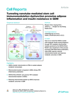 Tunneling nanotube-mediated stem cell immunomodulation dysfunction promotes adipose inflammation and insulin resistance in GDM